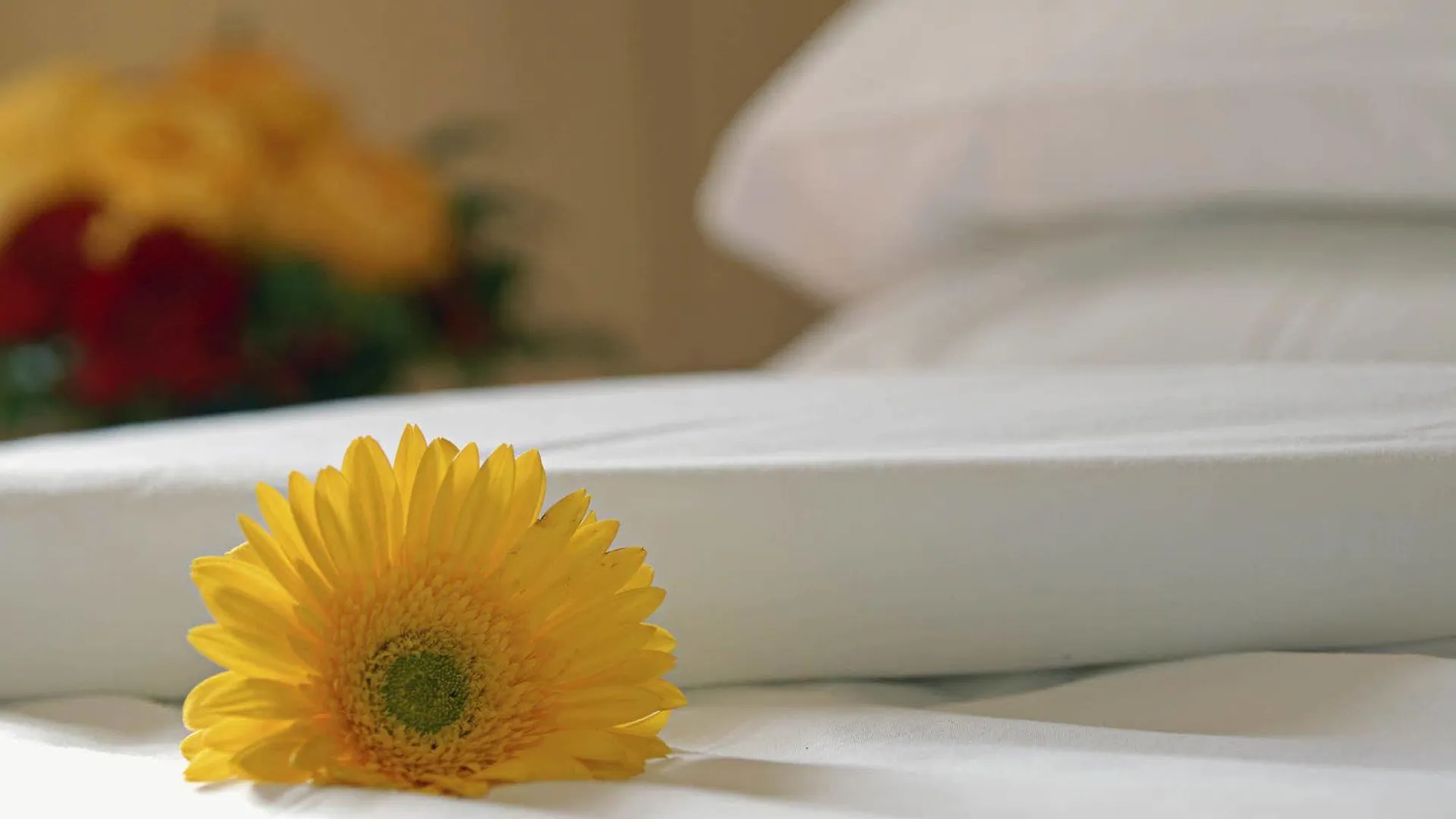 Hotel La Perla - Bike Hotel Garda  3*, Garda (Verona)